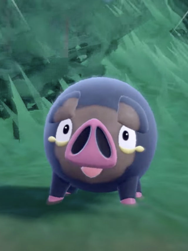 Hog Pokemon Lechonk